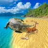 奈非视频